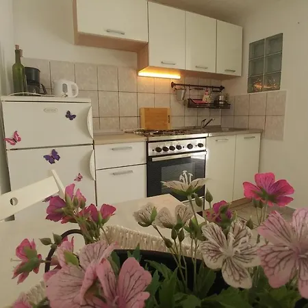 Apartman Goga Draga Bascanska Exterior photo