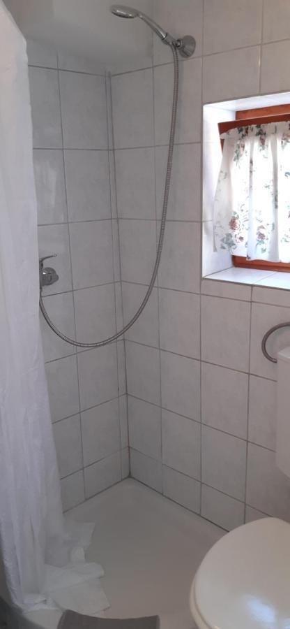 Goga Draga Bascanska