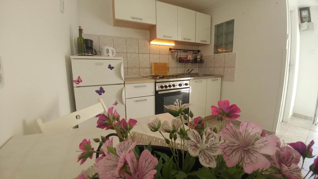 Apartment Goga Draga Bascanska